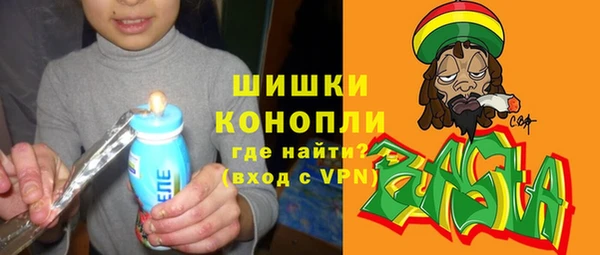 тгк Дмитров
