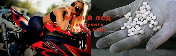 тгк Дмитров