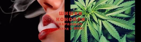 тгк Дмитров